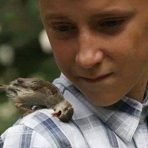 Meet your Posher, Fikri